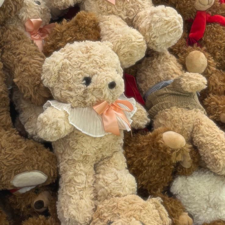 Peluches y Animalitos