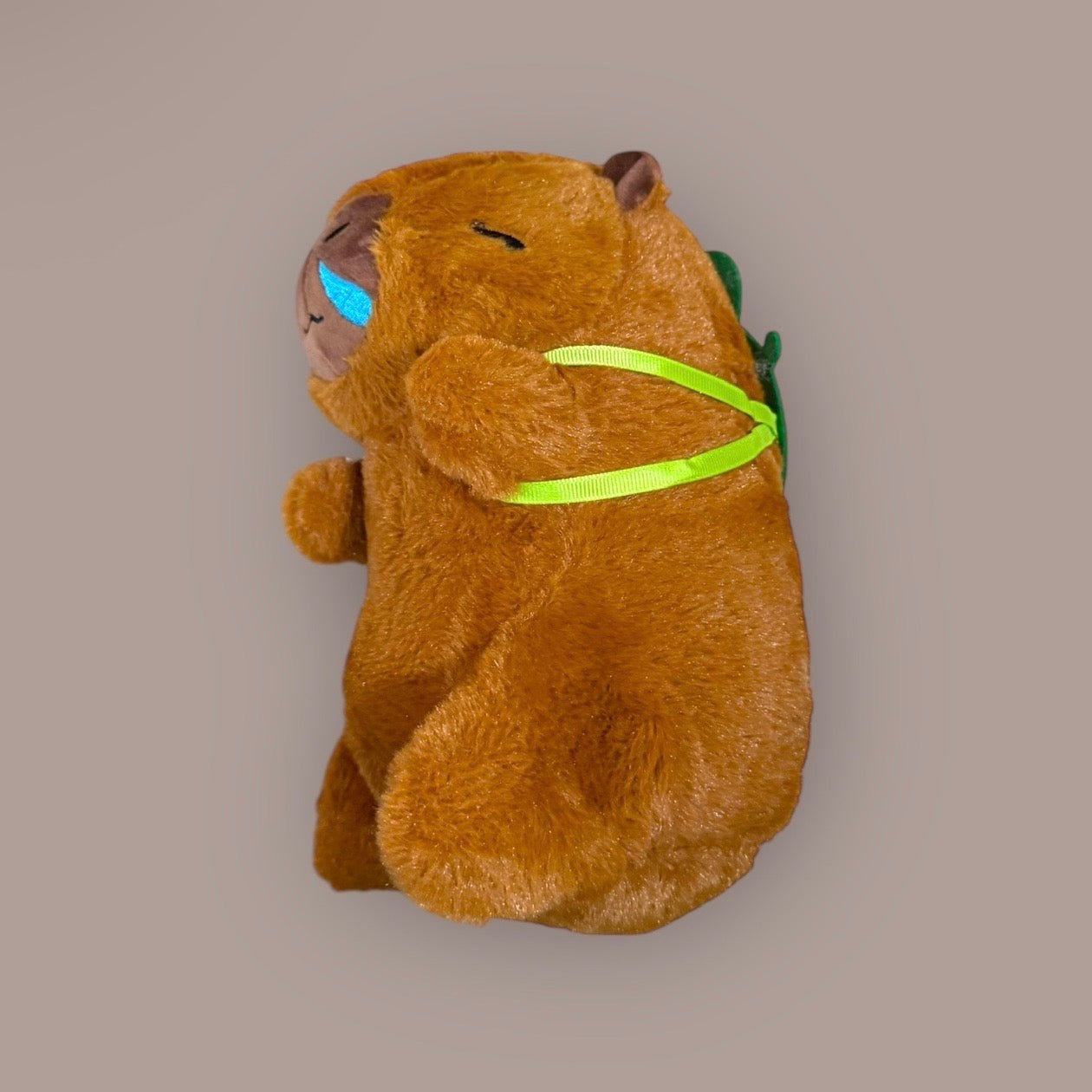 Peluche Carpincho 23 cm (Modelo 2)
