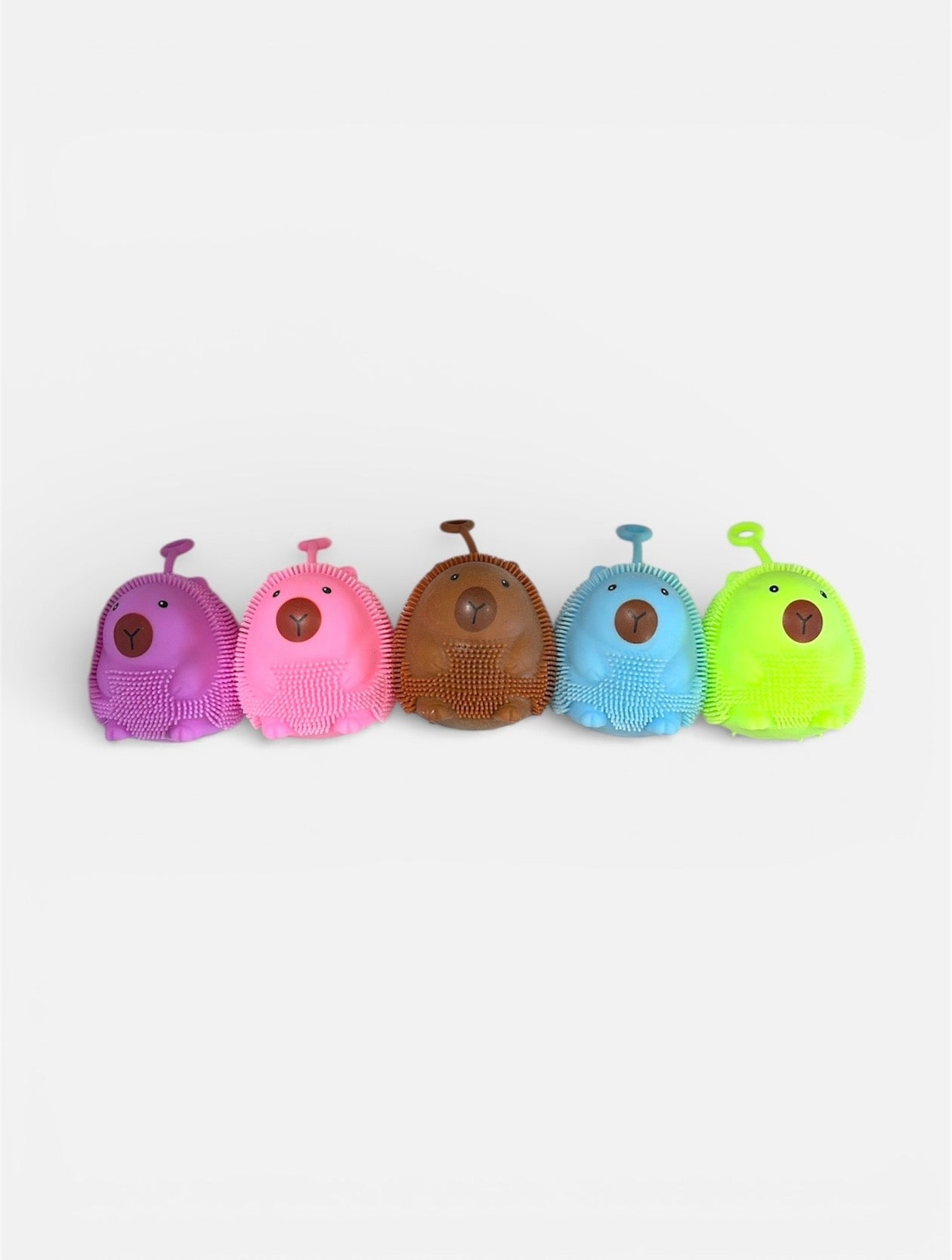 Peludo con Luz – Carpincho