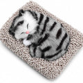 Gatito Durmiente de Peluche